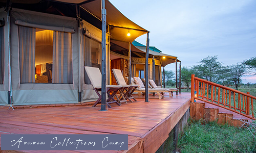 Acacia Collections camp Serengeti - Tanzania Adventures Group